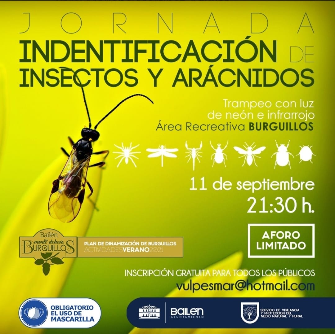 Jornadas de identificación de insectos en Burguillos