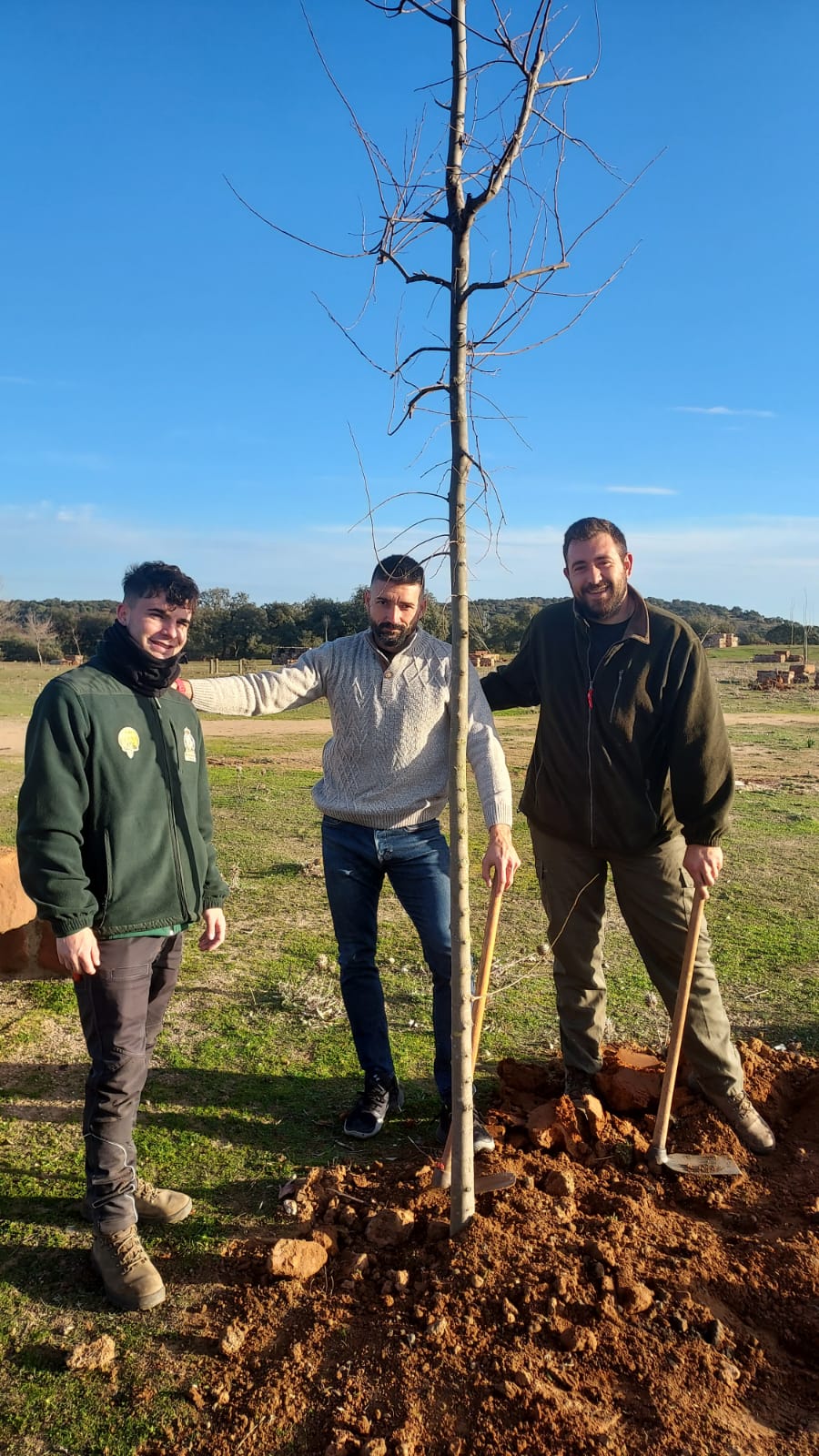 Plantados 30 árboles en Burguillos